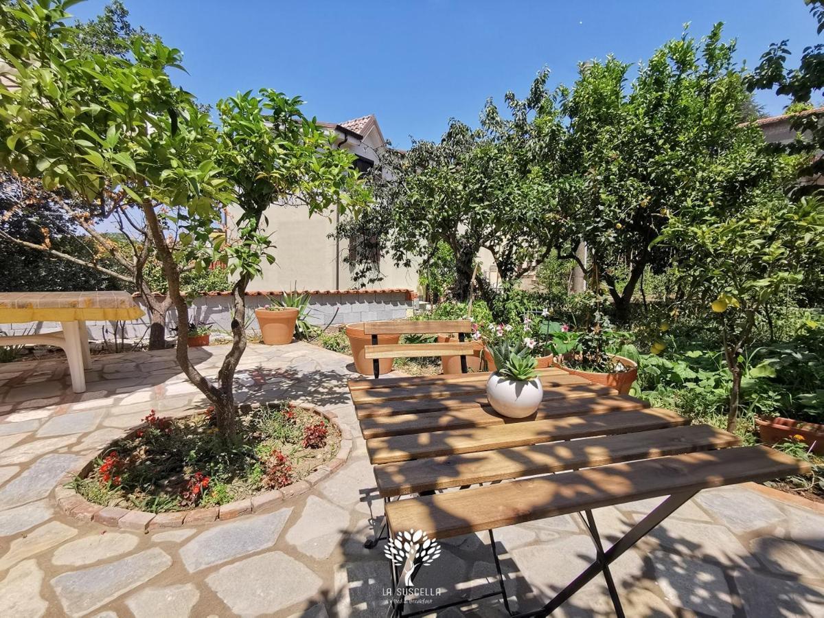 La Suscella Bed & Breakfast Torchiara Exterior photo